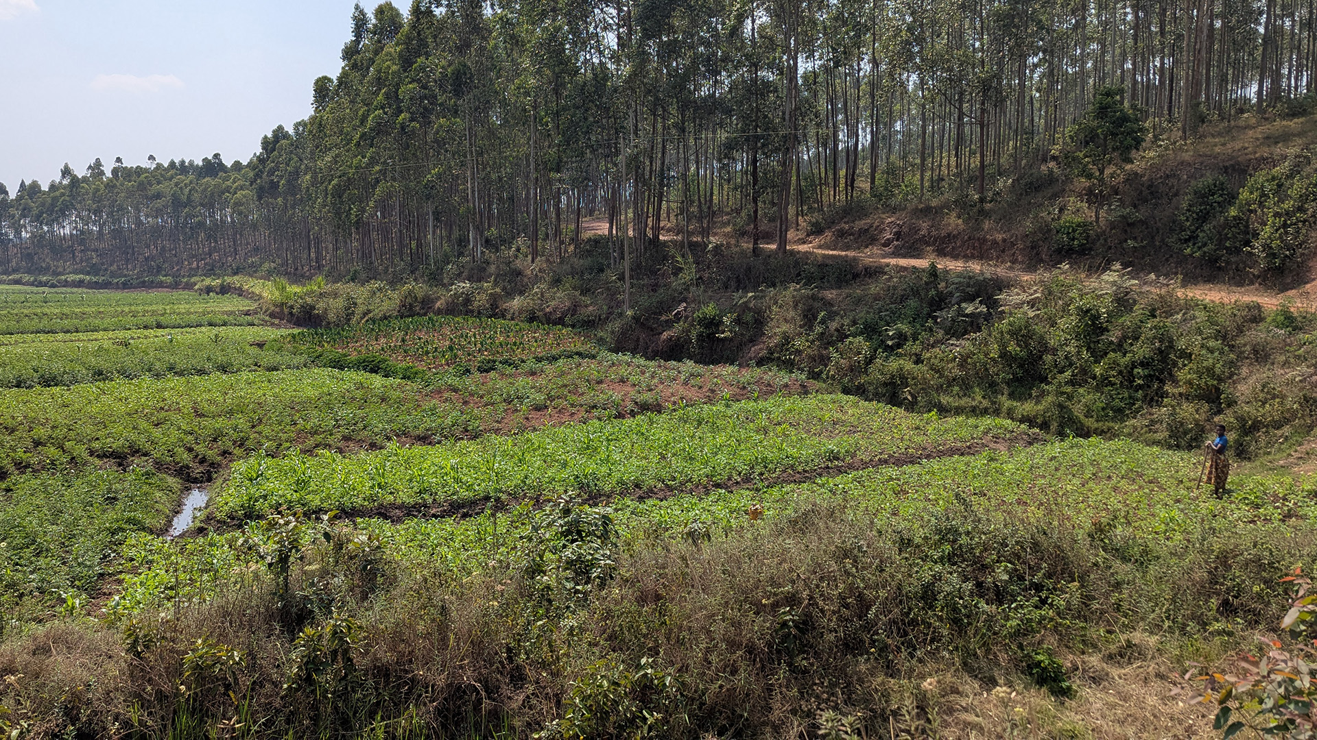 header-burundi-1920x1080.jpg 1