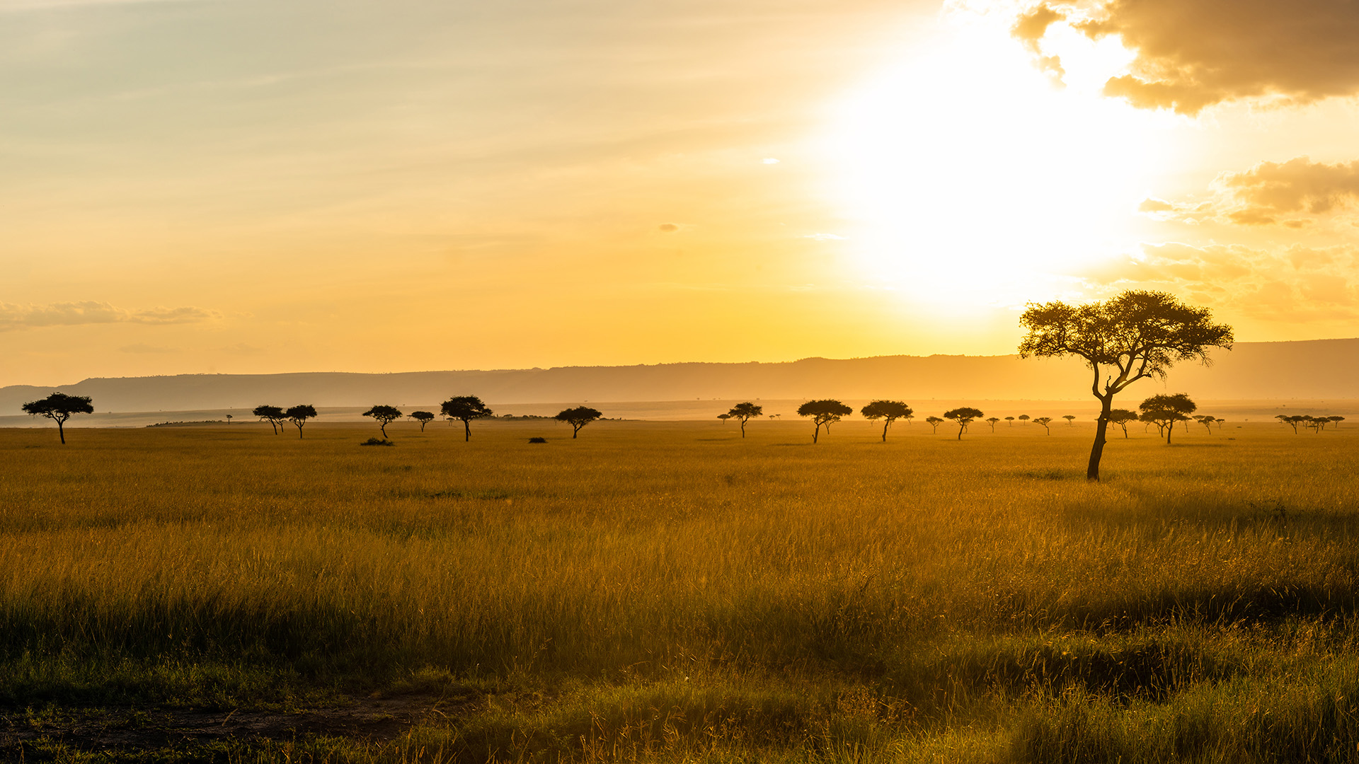 header_Afrika_1920x1080.jpg