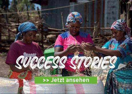 bild-success-stories.jpg