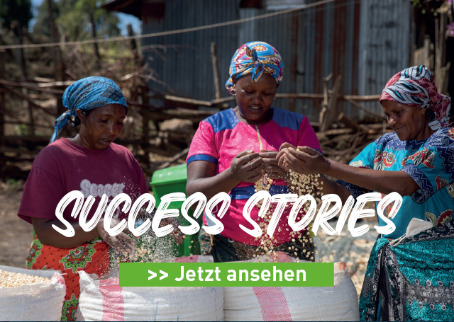 bild-success-stories.jpg