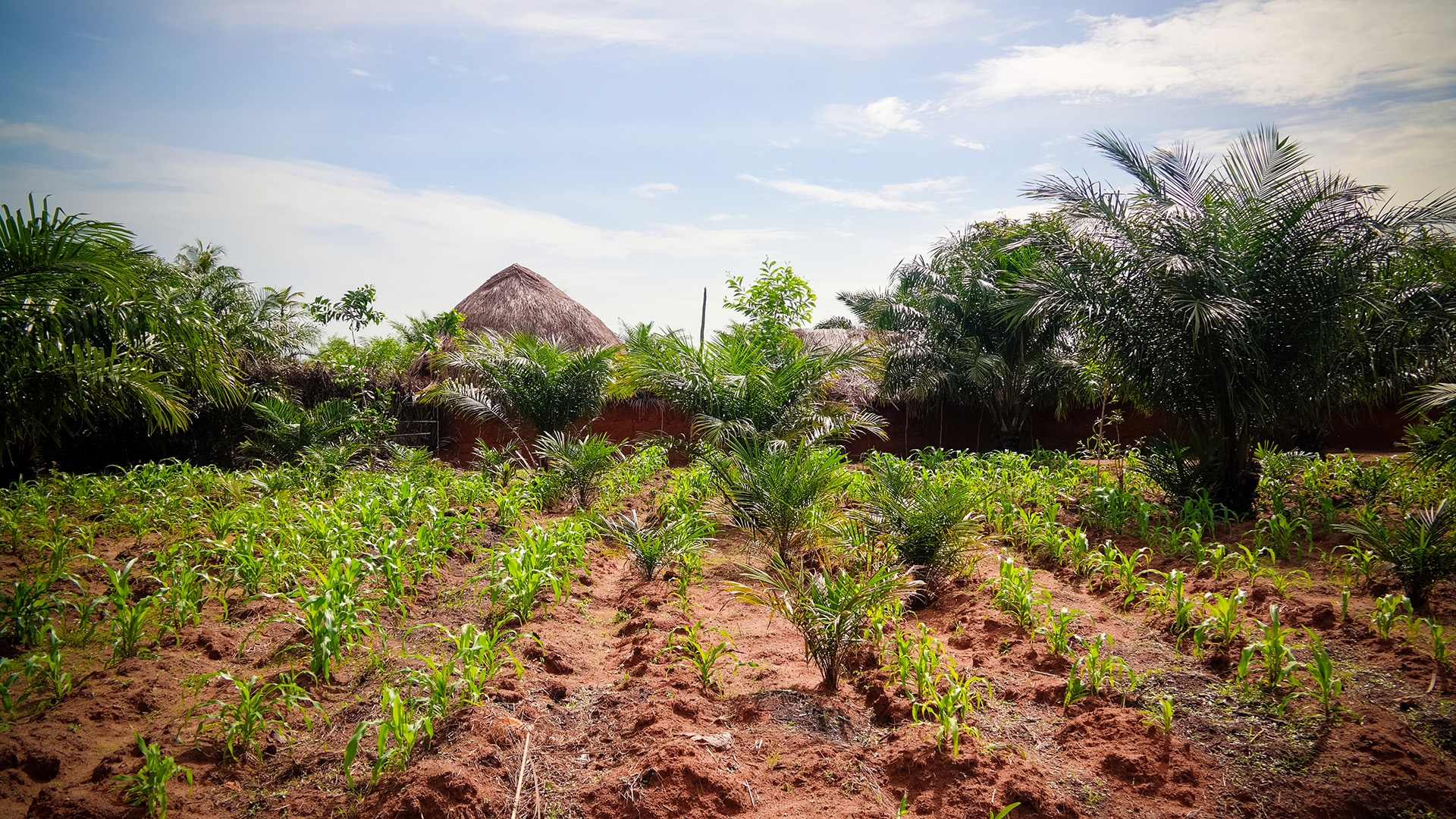 header-togo-1920x1080.jpg